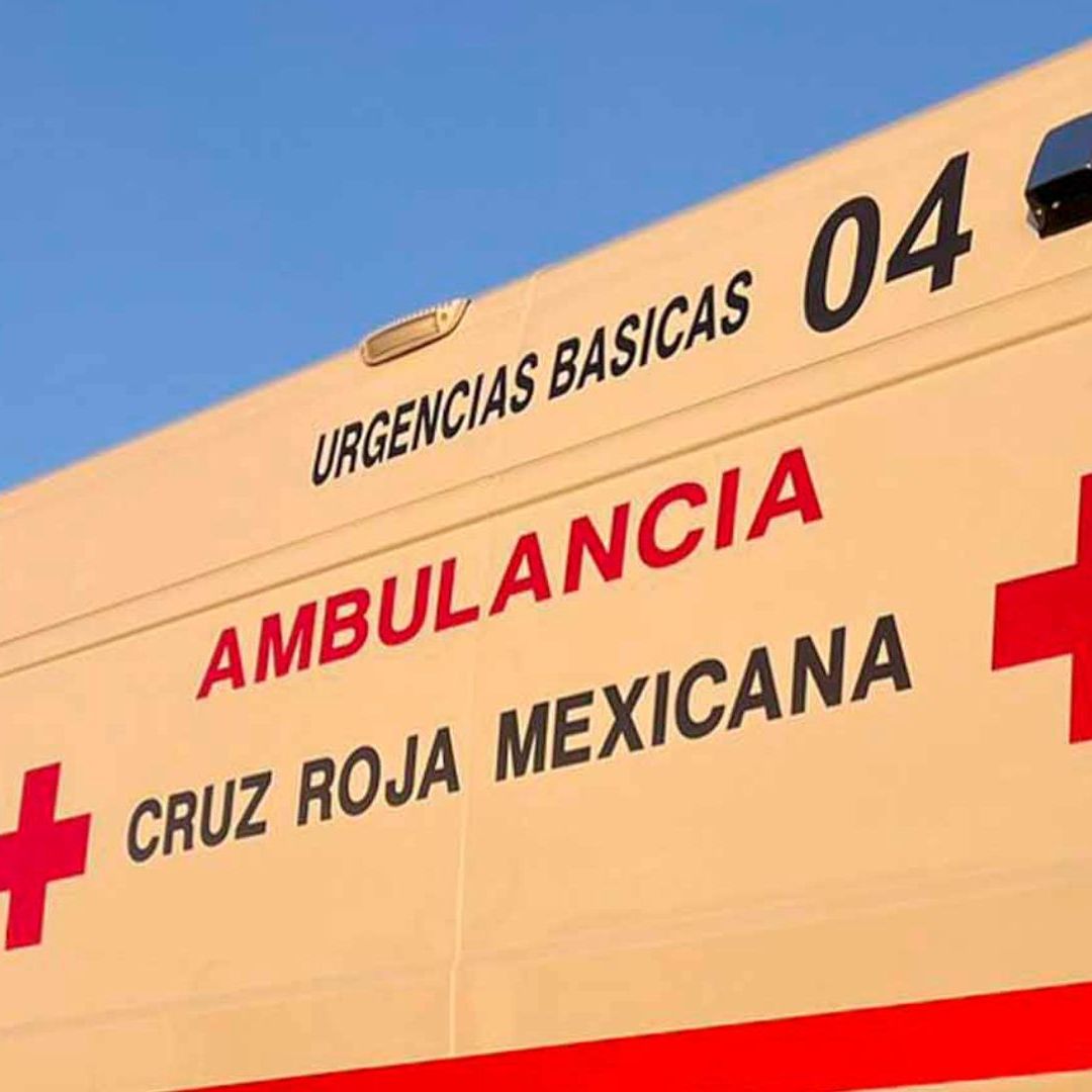 Hombre es Atacado por Perro Mientras se Dirigía su Trabajo en Torreón